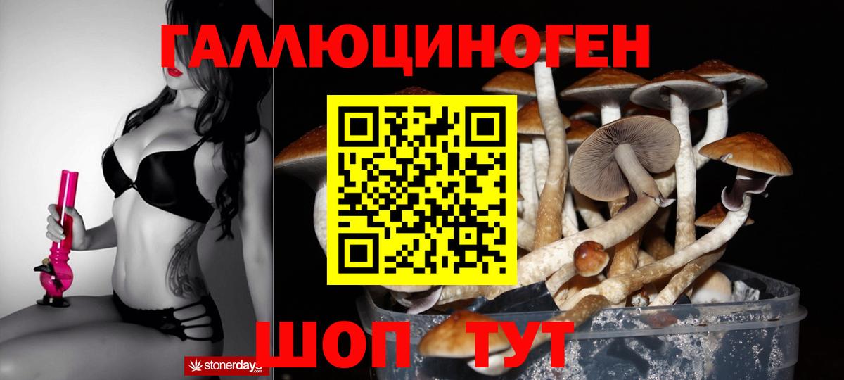 Псилоцибиновые грибы прущие грибы  Вход с VPN  Северск 