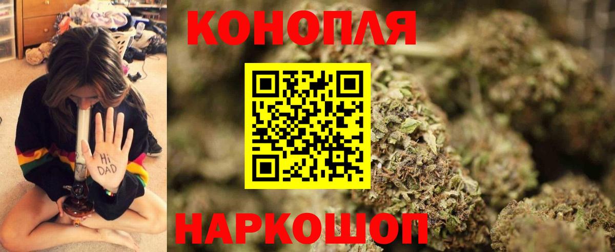 Конопля тримм  Бошки марихуана конопля  Вход с VPN  Северск  Канабис Amnesia  Марихуана Bruce Banner 